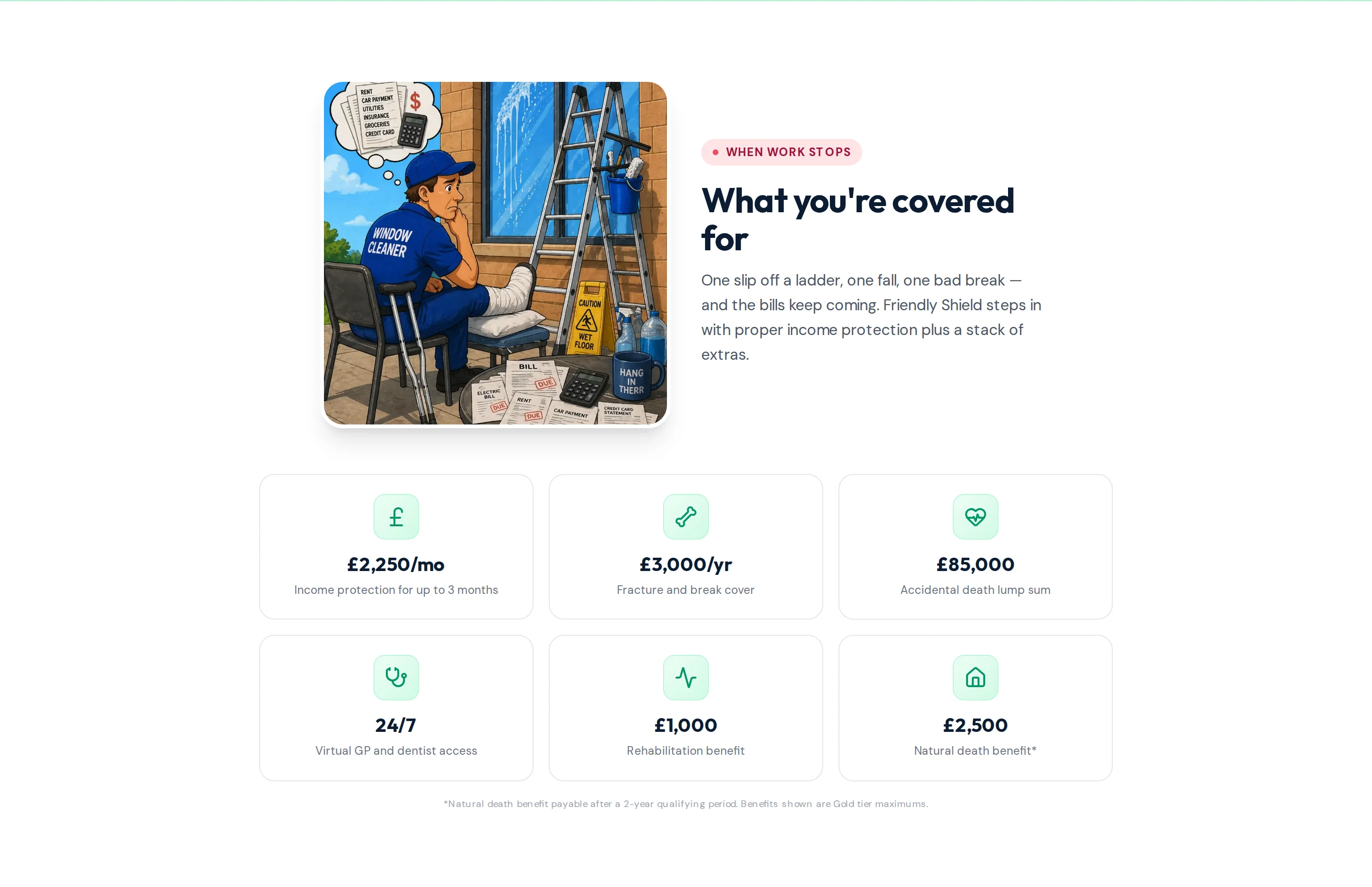 A section of the Friendly Shield website built by Telebyte