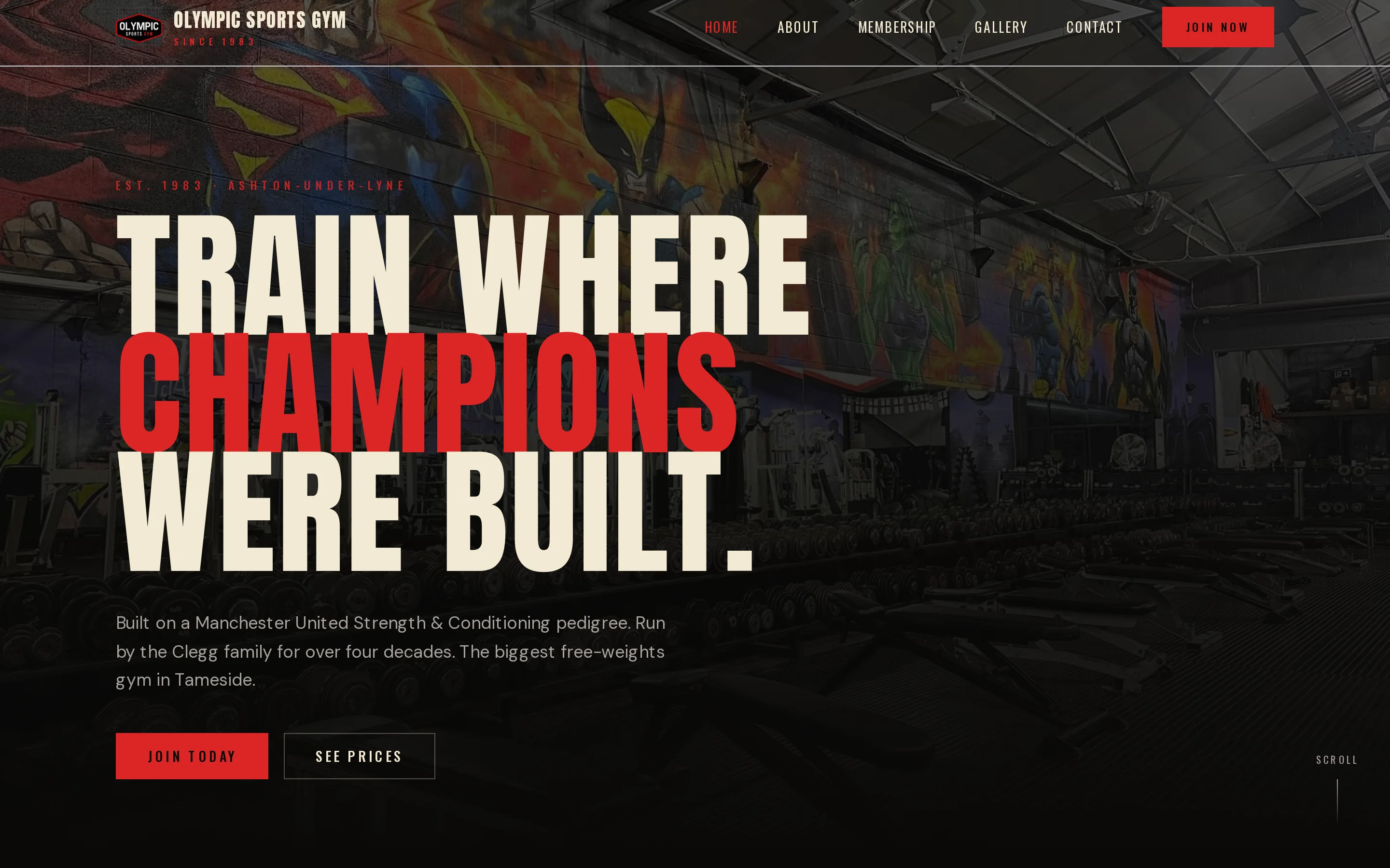 The Olympic Sports Gym website built by Telebyte