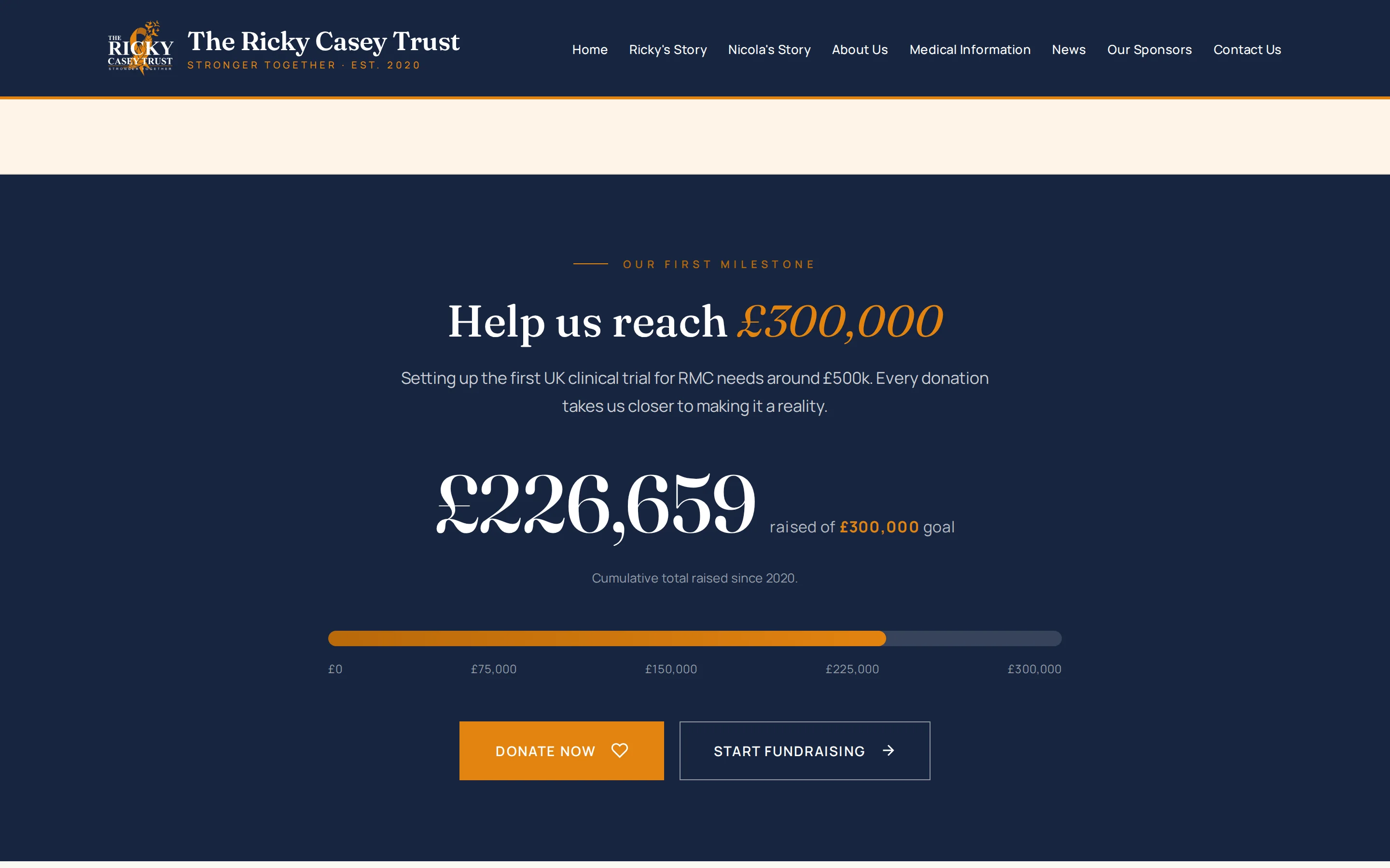 A section of the The Ricky Casey Trust website built by Telebyte